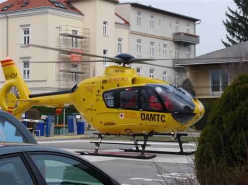 Freiwilligentag 26.03.2011